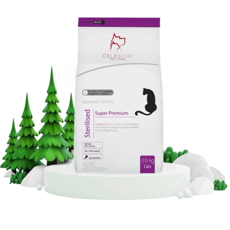 غذای خشک گربه خانگی سلبن