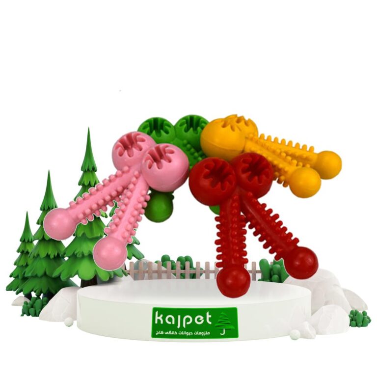 لوازم تفریحی برای سگ