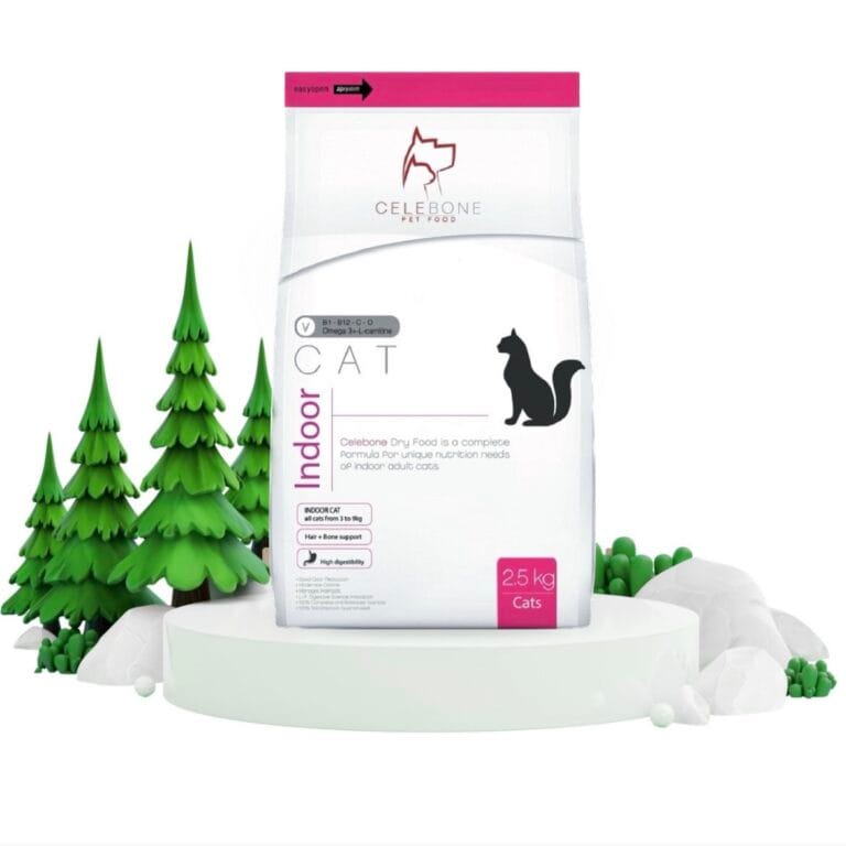 غذای خشک گربه خانگی سلبن