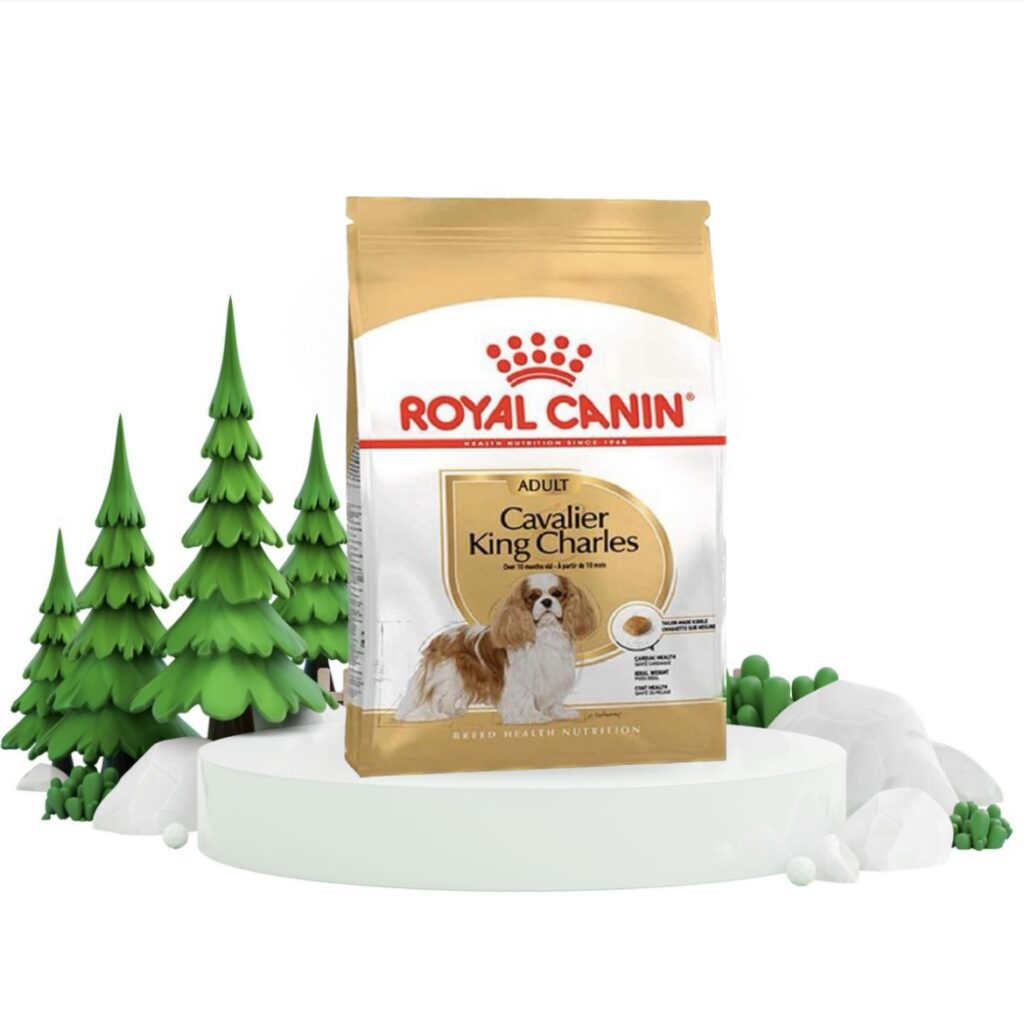 غذای خشک رویال کنین مخصوص نژاد کاوالیر کینگ چارلز