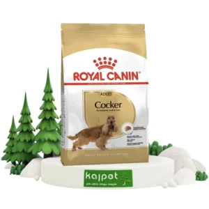 خرید غذای خشک کوکر ادالت رویال کنین 3 کیلوگرم
