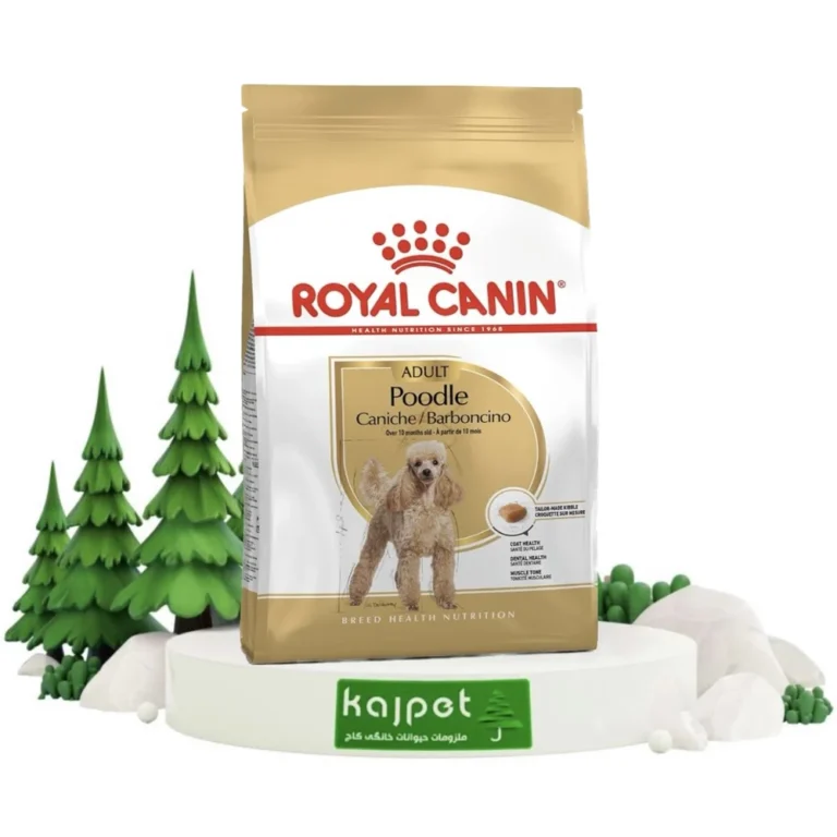 خرید غذای خشک پودل ادالت رویال کنین 3کیلوگرم