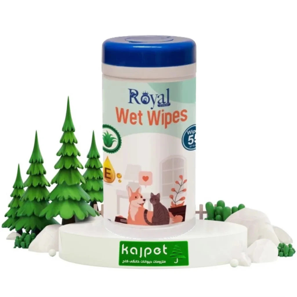 خرید و قیمت دستمال مرطوب سگ و گربه رویال کوکو