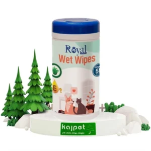 خرید و قیمت دستمال مرطوب سگ و گربه رویال کوکو