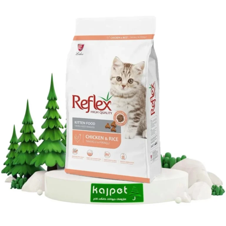 غذای خشک بچه گربه رفلکس