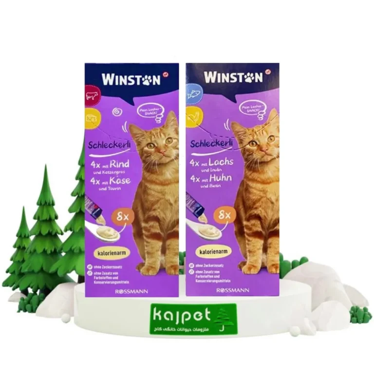 بستنی گربه وینستون