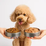 خرید غذای سگ