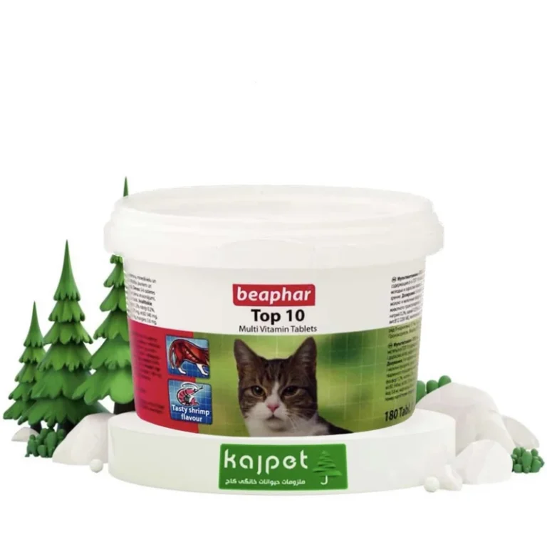 خرید و قیمت تاپ تن بیفار گربه