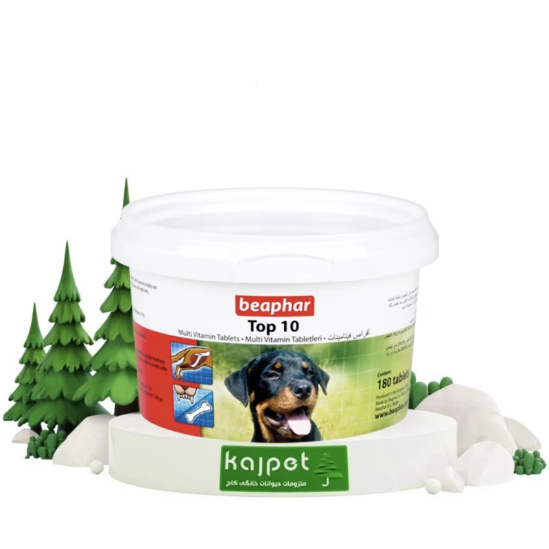 خرید و قیمت تاپ تن بیفار سگ