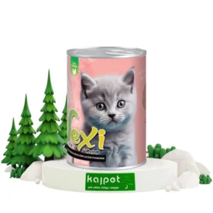 خرید و قیمت کنسرو بچه گربه وکسی طعم مرغ و شیرخشک