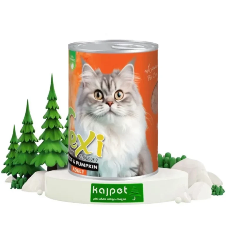 غذای کنسرو گربه بالغ پته گوشت گوساله و کدو تنبل 400گرمی