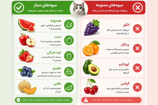اینفوگرافیک میوه‌های مجاز و ممنوعه برای گربه