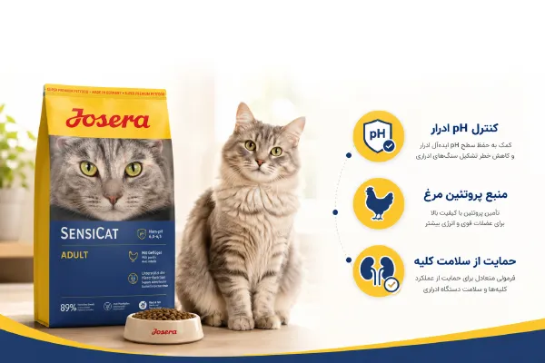 ویژگی ها و خرید غذای خشک گربه یورینری رفلکس پلاس طعم مرغ