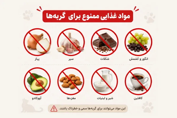 مواد غذایی ممنوع برای گربه ها مثل پیاز و شکلات